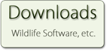 software downloads
